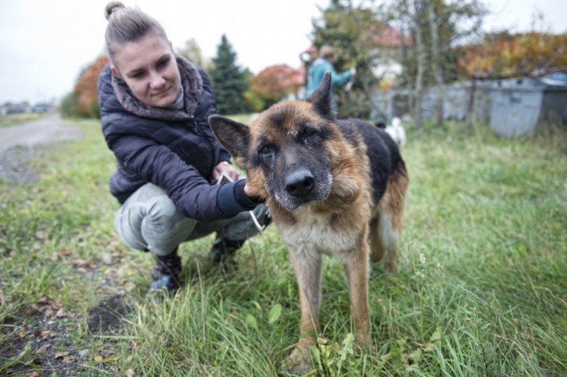 Wolontariuszki ze Zwierzolubów z Siedlec podczas swojej działalności uratowały wiele bezdomnych psów. fot. Aga Król