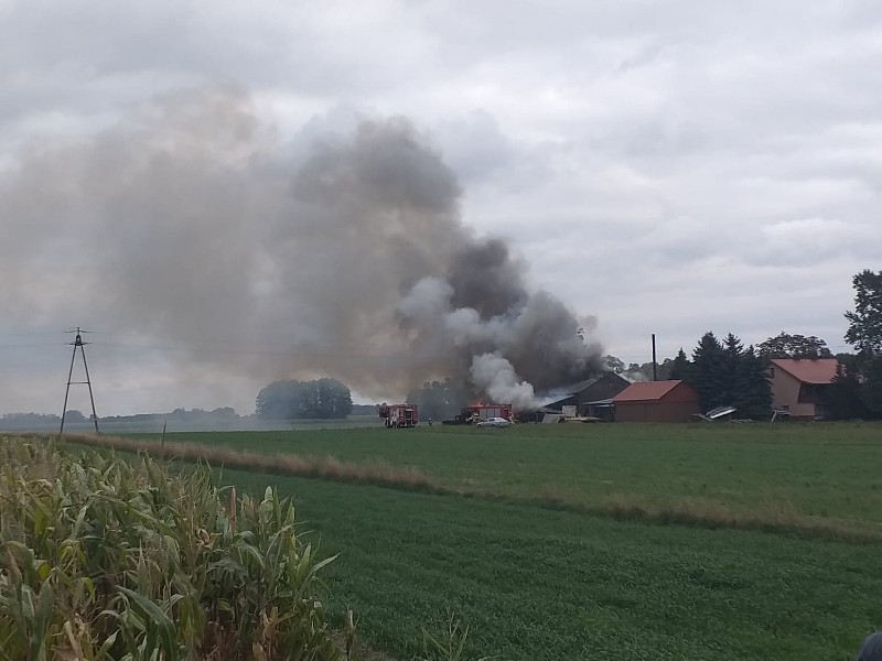 Pożar stolarni w Tchórzewie-Plewkach