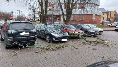 Silny wiatr połamał gałęzie, które spadły na zaparkowane samochody. (fot. Internauta)