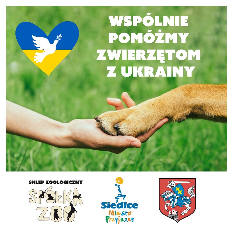 Zbiórka na dla zwierząt z Ukrainy! Przyłącz się! (fot. FB Spółka ZOO Shop) 