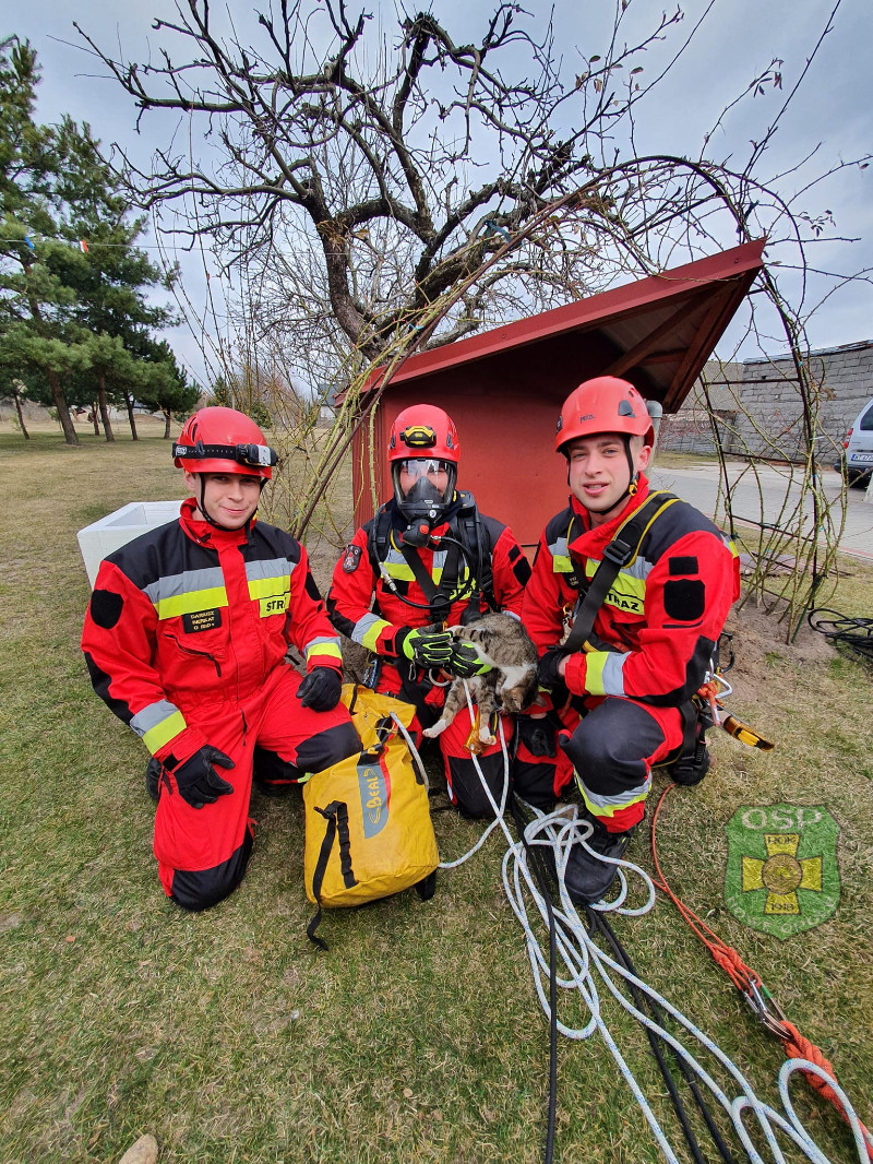 Strażacy ratująkota w studni - fot. OSP Nowe Opole