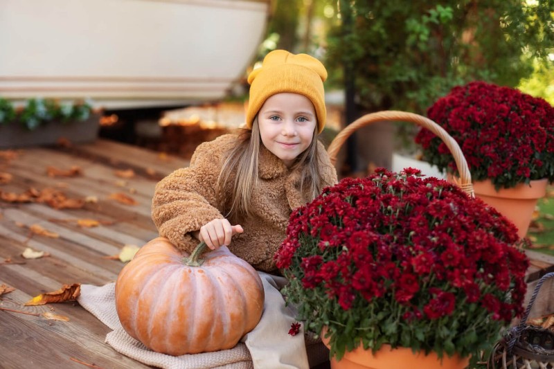 Rośliny na jesienny taras – idealna ozdoba najbliższego otoczenia Twojego domu! (fot.freepik.com)