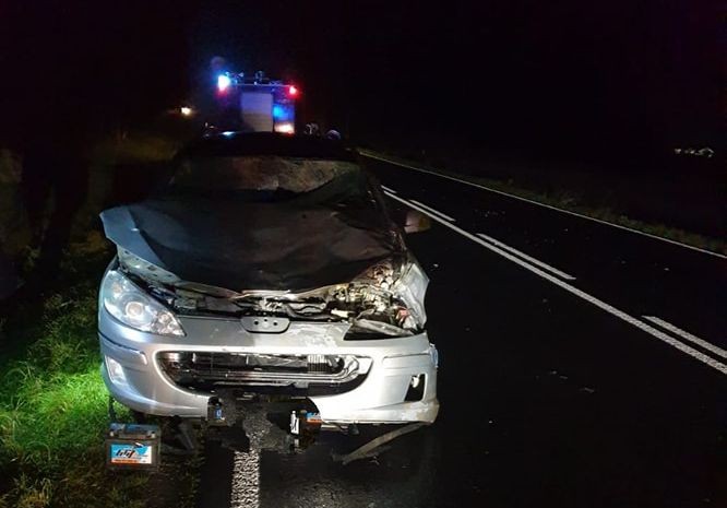 Zderzenie samochodu z żubrem w Mszannie fot. KP PSP w Łosicach