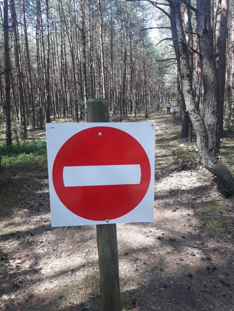 Znaki drogowe w środku lasu fot. ZBJ
