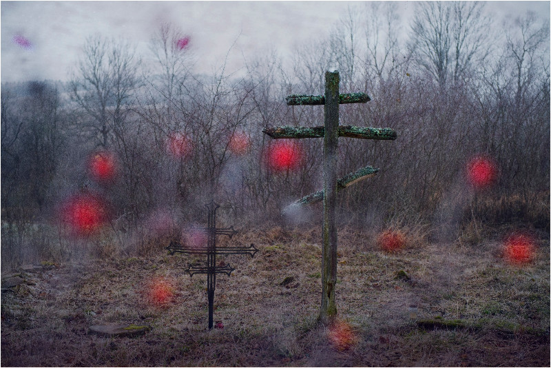 Sentymentalna podróż po cmentarzach w Polsce - fot. Aga Król