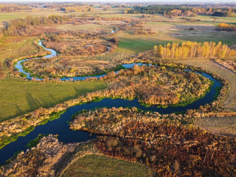 Nad piękną rzeką Liwiec fot. Krzysztof Skorupka