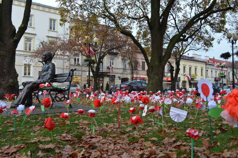Było patriotycznie. Biało czerwone kwiaty przed Miejską Biblioteką Publiczną w Siedlcach - fot. Jarosław Kurzawa