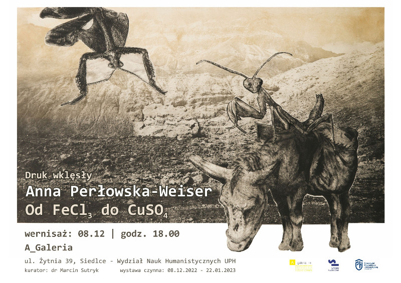 Wystawa Od FeCl3 do CuSO4 - Druk wklęsły Anny Perłowskiej-Weiser 
