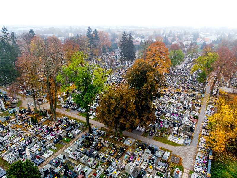 Cmentarz przy ulicy Grabianowskiej nie powstanie zbyt szybko 