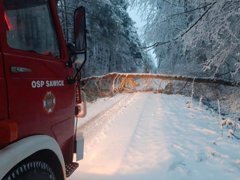 Ciężki padający przez całą noc śnieg spowodował, że łamały się drzewa i gałezie. Strażacy od kilku godzin usuwają jes z dróg. Fot. OSP Sawice