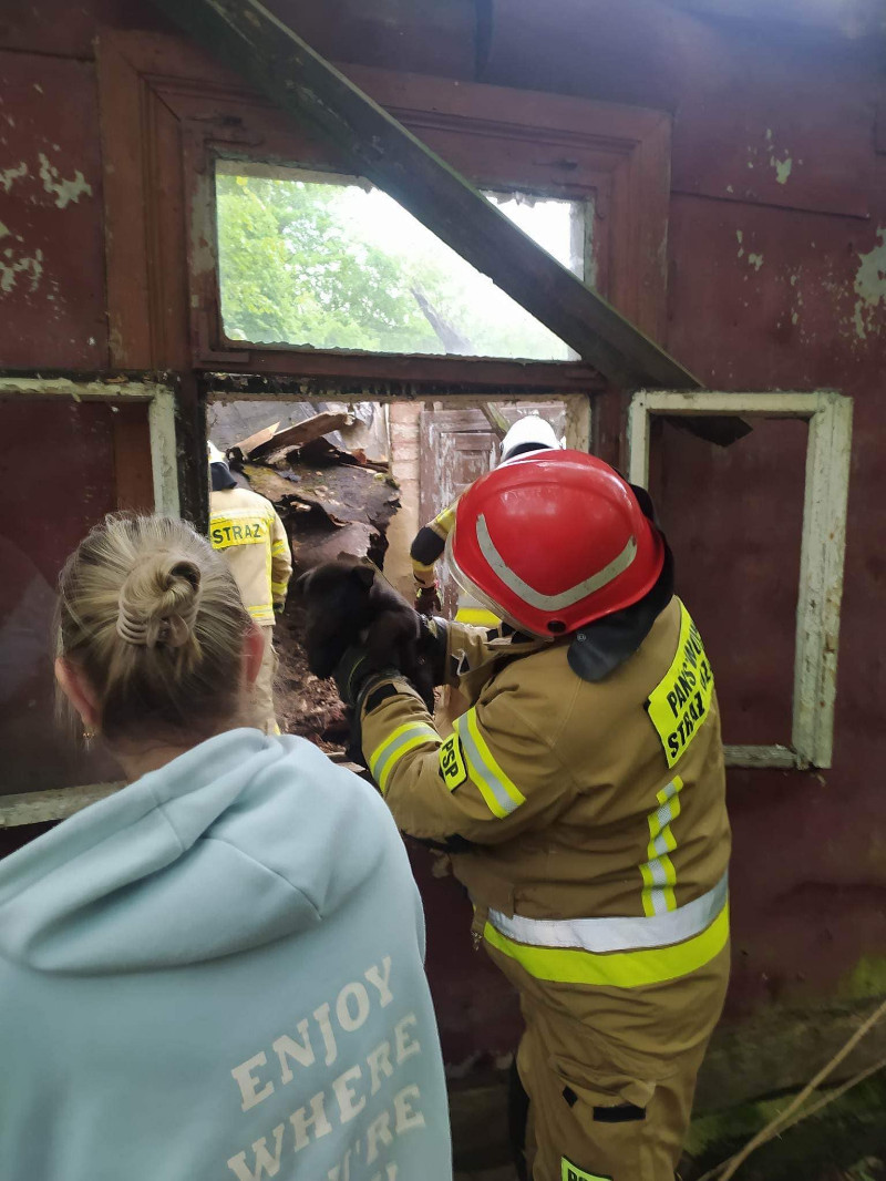 W ratowanie szczeniaków włączyli się strażacy z Pruszyna i Siedlec. Fot. Stowarzyszenie Zwierzoluby