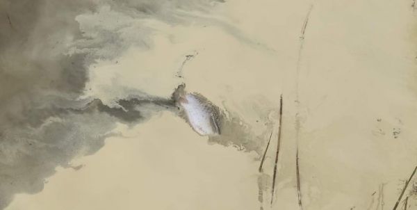Śnięte ryby w zalewie