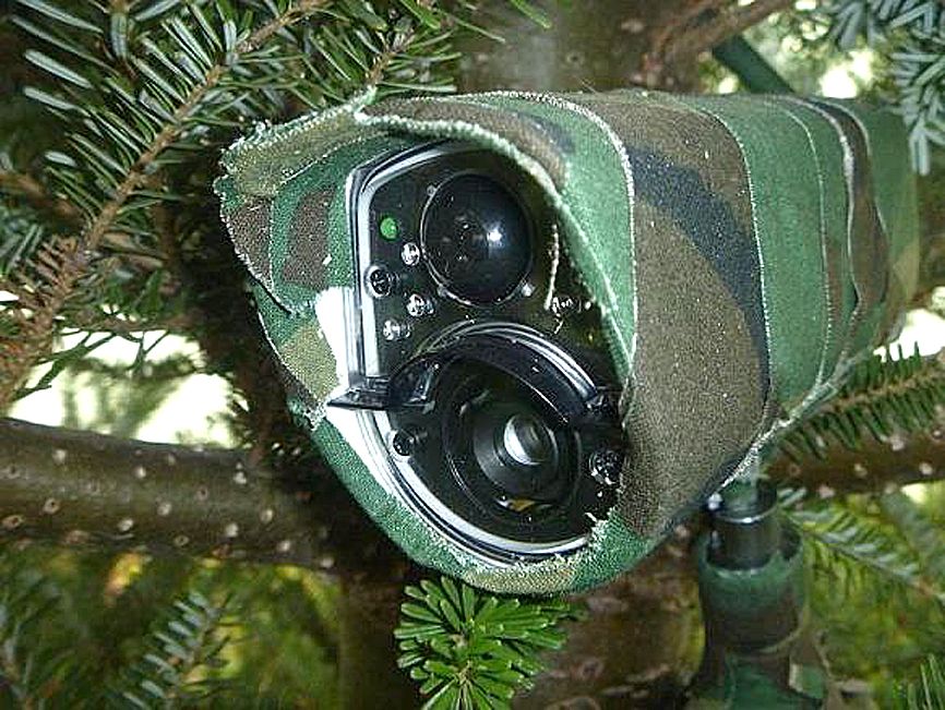 Czy takie kamery pojawią się w naszych lasach? Fot. lasy.gov.pl