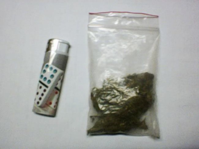 Marihuana zabezpieczona przez mińskich policjantów. (fot. KPP Mińsk Maz.) 
