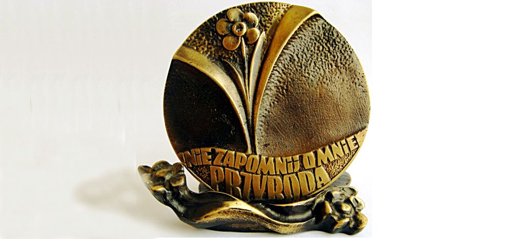 Tak wygląda Medal Polskiej Niezapominajki...