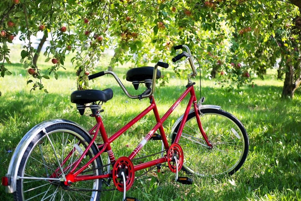 Jeśli kupimy „Bartkowi” podobny rower, będzie mógł częściej opuszczać swoje mieszkanie, w którym, jako niewidomy, przebywa za długo. Fot. pixabay.com