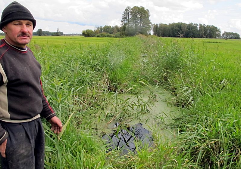 Jeden z rolników ze wsi Mikłusy pokazuje w jakim stanie jest kanał odprowadzający wodę z łąk, których i on, i jego sąsiedzi nie mogą użytkować. Fot. PGL