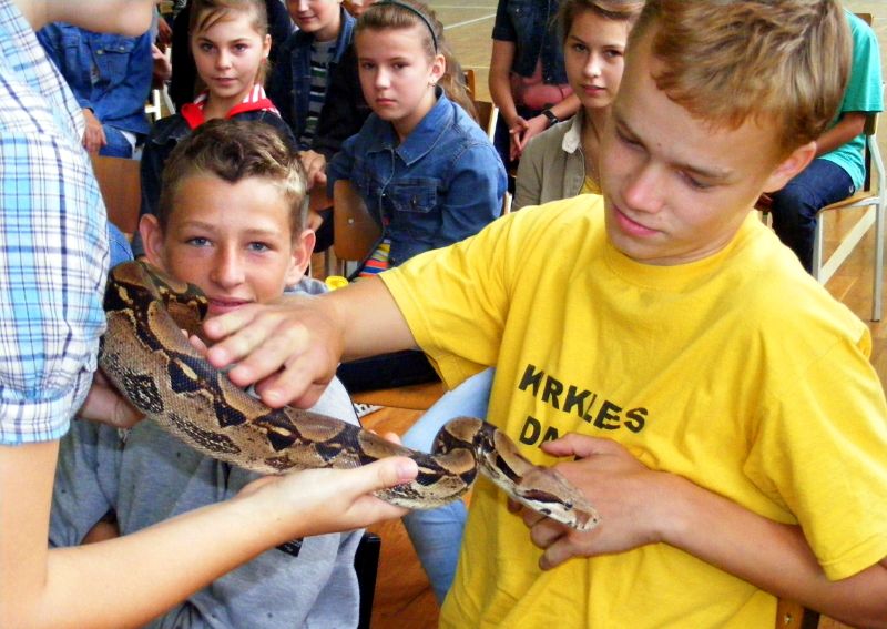 Podczas pokazów zorganizowanych w Zespole Szkół w Krynce uczniowie mieli okazję dotykać żywe węże. Fot. Arch. ZS w Krynce